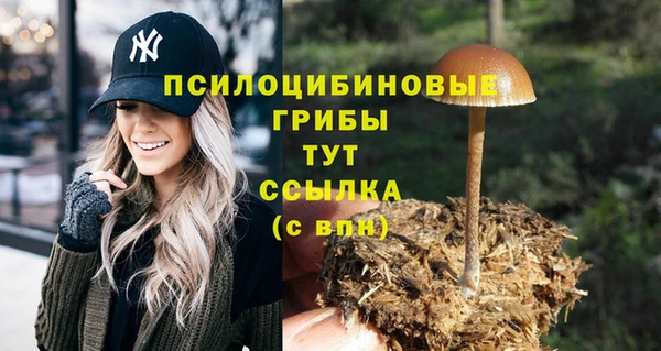 гидропоника Балахна