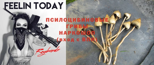 гидропоника Балахна