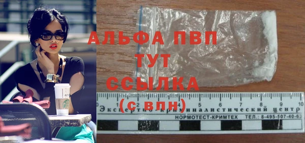 PSILOCYBIN Усмань
