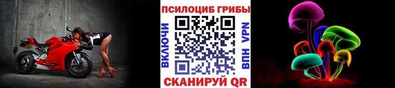 где купить наркотик  Армавир  Псилоцибиновые грибы MAGIC MUSHROOMS 